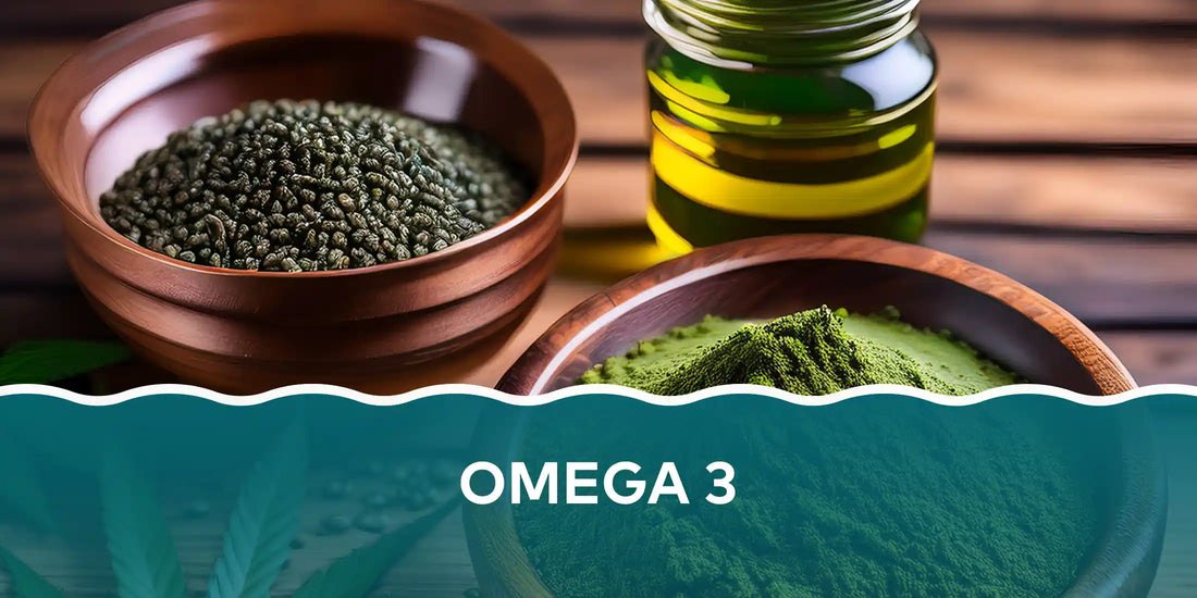 Pflanzliches Omega-3 aus Algenöl