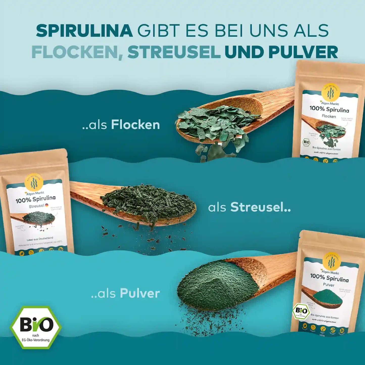 spirulina sortiment zeigt Löffel mit streusel, pulver, flocken von algenmarkt in ein Infografik.