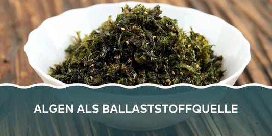 Algen Als Ballastsoffquelle - Blog Beitrag Banner