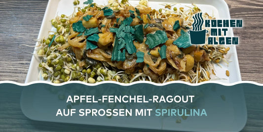 Apfel-Fenchel-Ragout auf frischen Sprossen mit Algen und Spirulina, veganes Fenchelgericht mit Kokosmilch und Kürbiskernen von „Kochen mit Algen“