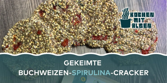 Gekeimte Buchweizen Spirulina Cracker