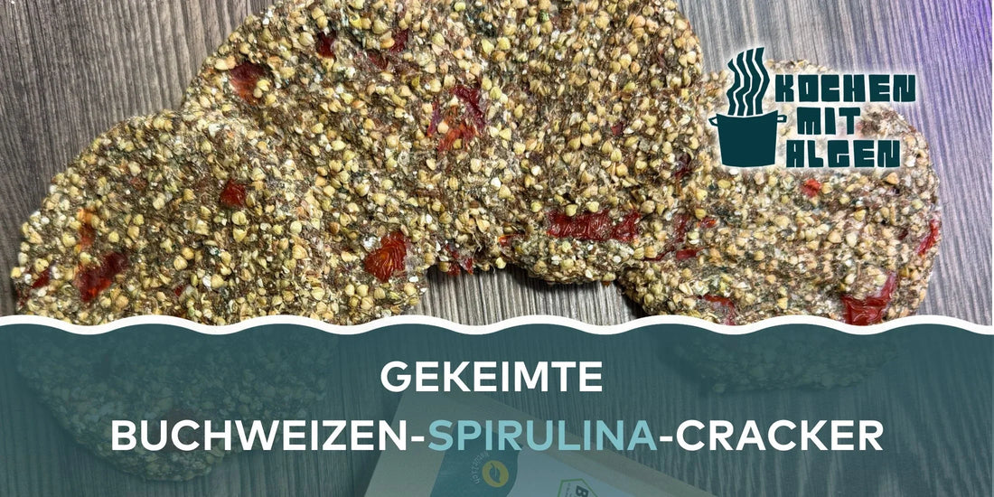 Gekeimte Buchweizen Cracker mit Algen – roh-vegane, glutenfreie Cracker mit Basilikum, Tomaten und Flohsamen als gesunder Snack oder Mealprep-Rezept von Kochen mit Algen