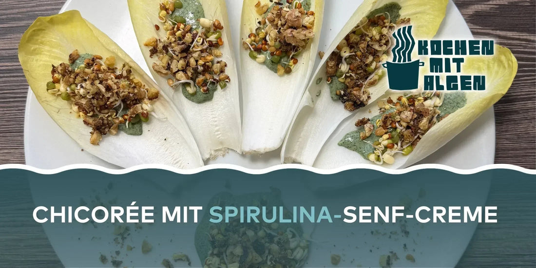 Chicorée-Schiffchen mit Algen-Senf-Creme, vegan gefüllte Chicorée-Blätter mit grünem Algen-Topping, Walnüssen und Sprossen, Vorspeise „Kochen mit Algen“