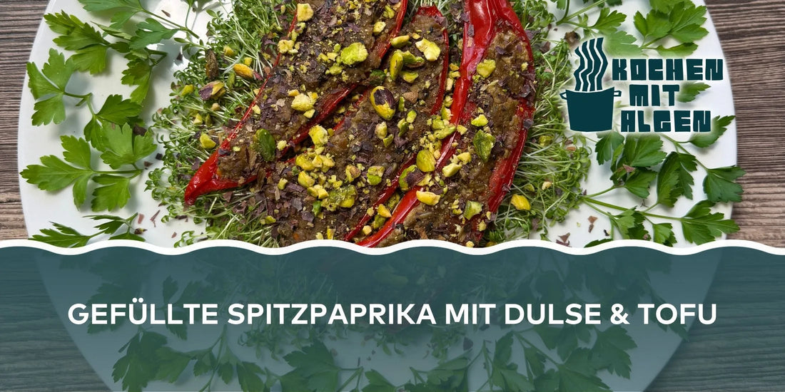 Vegane gefüllte Paprika mit Algen und Tofu, Spitzpaprika mit Dulse, Nüssen und Kräutern – aromatisches Algen-Rezept „Kochen mit Algen“.