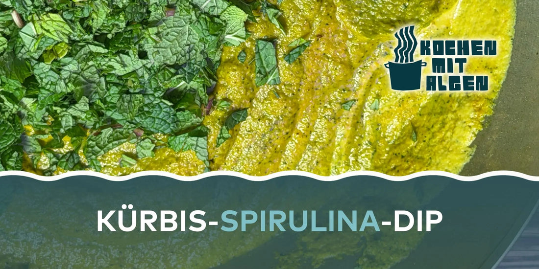 Kürbis-Spirulina-Dip