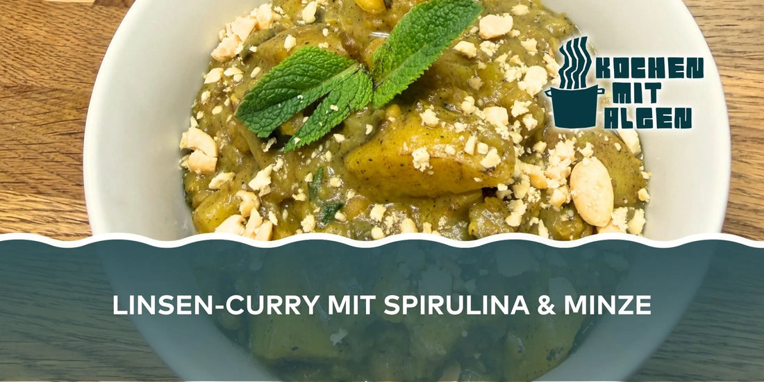 Linsen-Curry mit Spirulina und Minze, Kartoffeln, Kokosmilch und Erdnüssen – veganes Algen-Rezept mit orientalischen Gewürzen von Kochen mit Algen