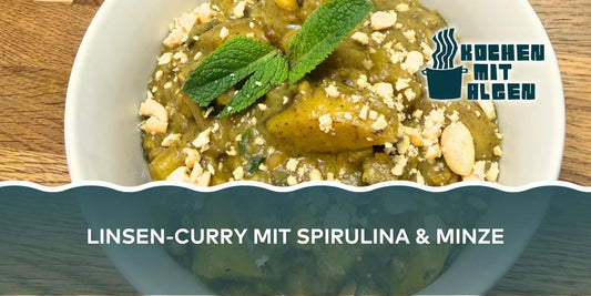 Linsen-Curry mit Spirulina und Minze, Kartoffeln, Kokosmilch und Erdnüssen – veganes Algen-Rezept mit orientalischen Gewürzen von Kochen mit Algen