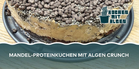Mandel-Proteinkuchen mit Algen-Crunch, Chiasamen und Protein-Crunchies – veganes Dessert mit Banane, Datteln und Spirulina von Kochen mit Algen