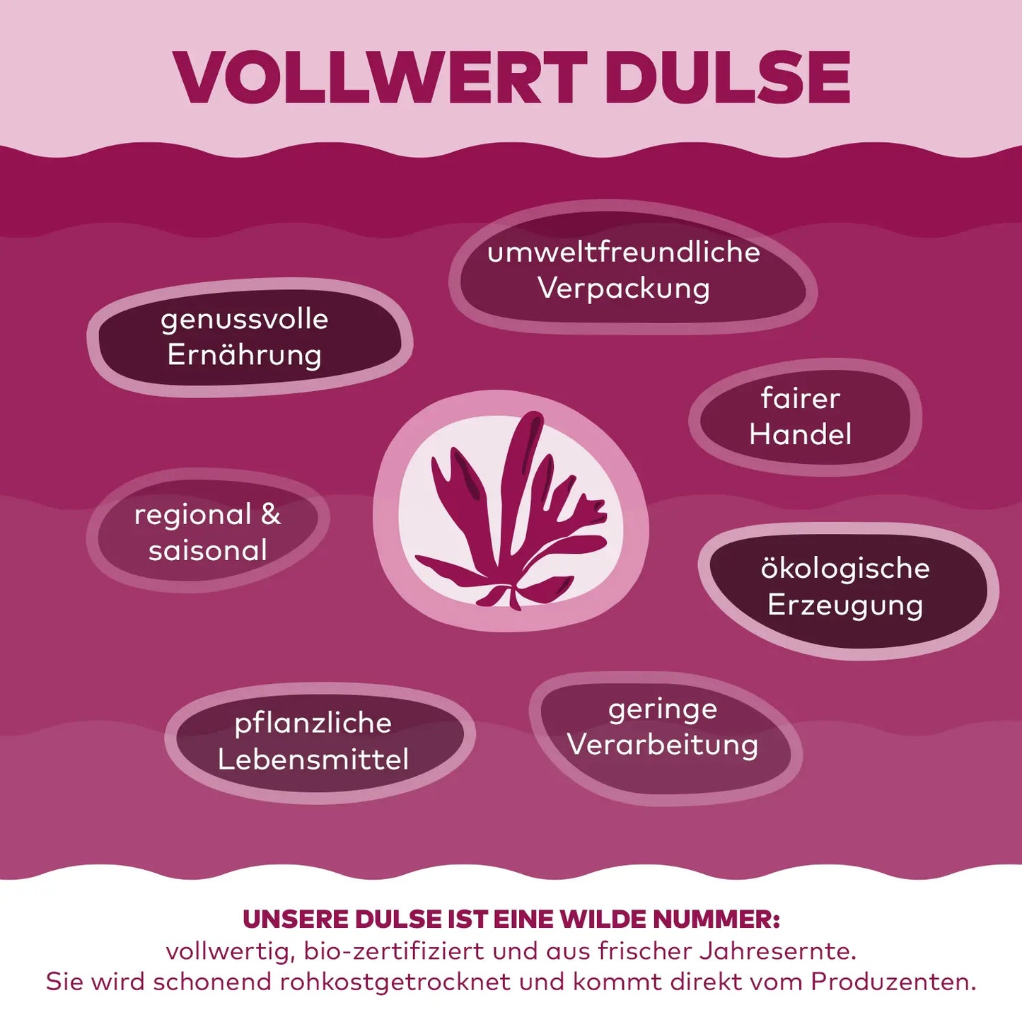 Dulse Flocken