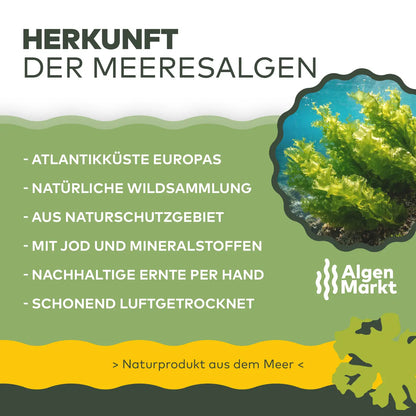 Bio Meersalat Flocken - Bio Ulva Algen