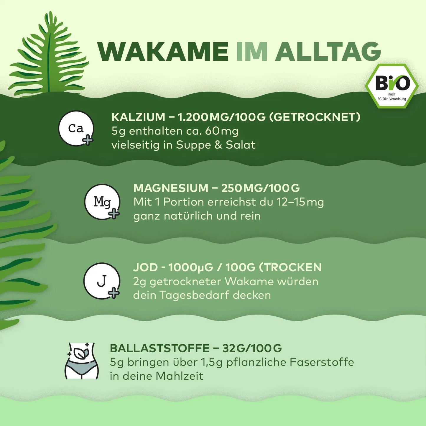 Wakame Blätter