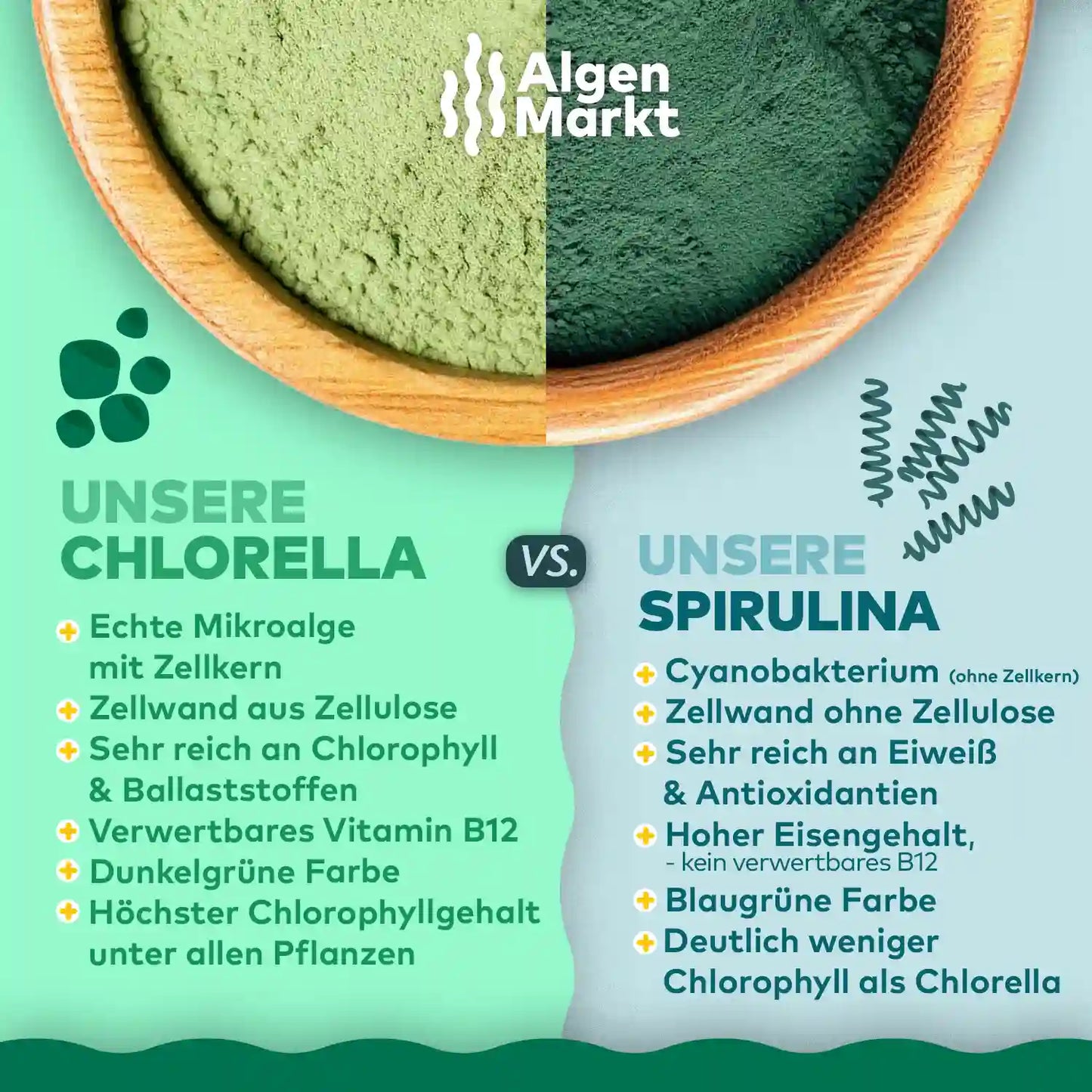 Chlorella und Spurlina pulver vergleich infografik von algenmarkt 