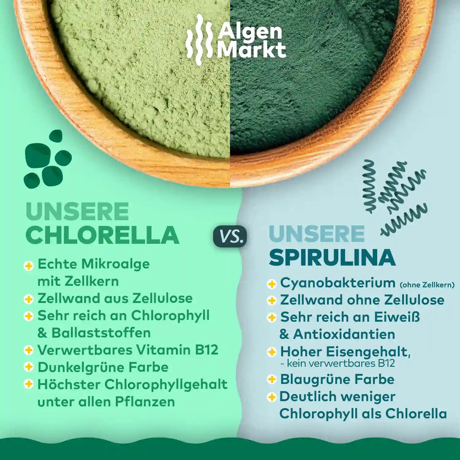 Chlorella und Spurlina pulver vergleich infografik von algenmarkt 