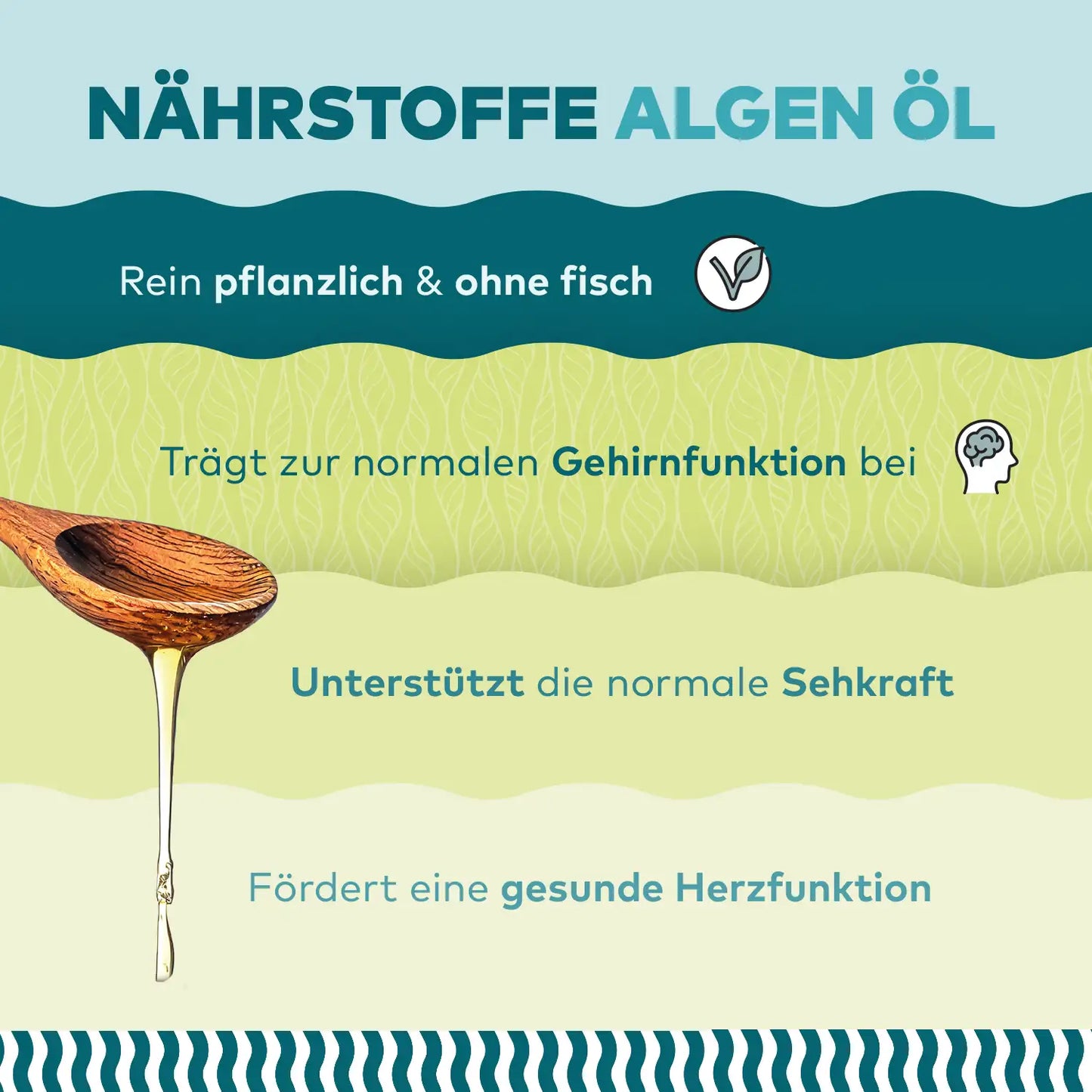 algenoel mit DHA und EPA haben eine Wirkung auf die Gehirnfunktion, sehkraft und Herz - infografik von algenmarkt