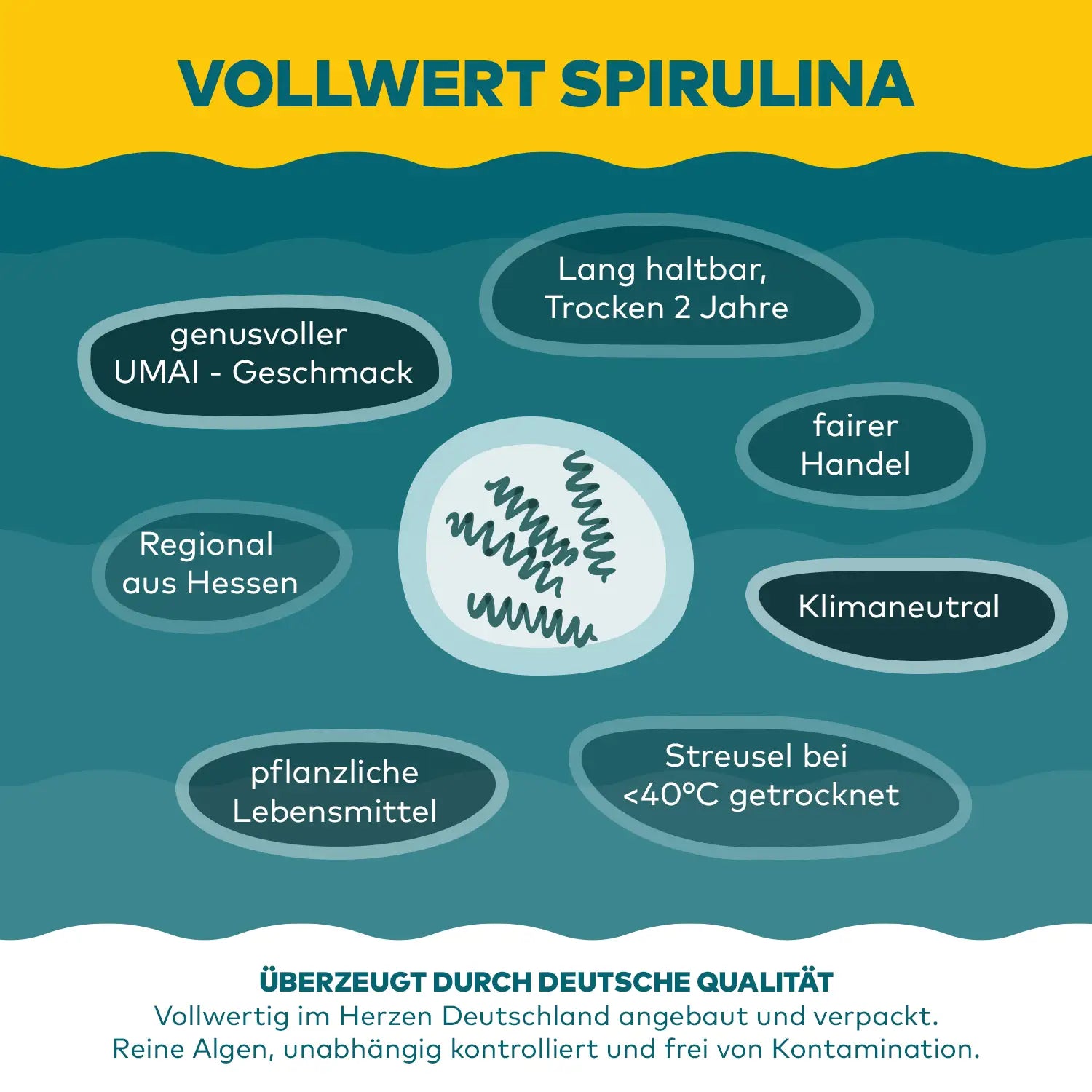 vollwert spirulina algen infografik algenmarkt
