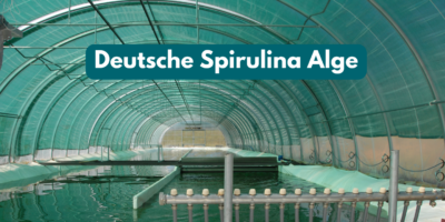 Deutsche Spirulina Alge